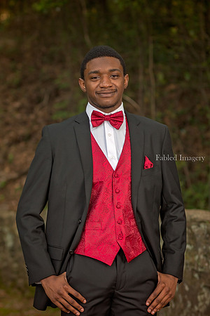 Brelyn_Cri'shawn_Prom_2025 (62 of 146)